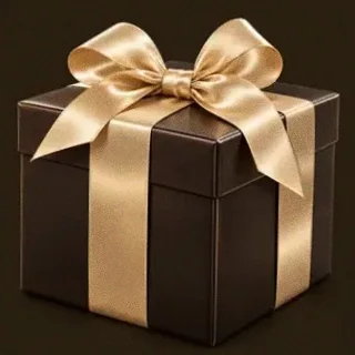Wrapped gift box — Spinfever